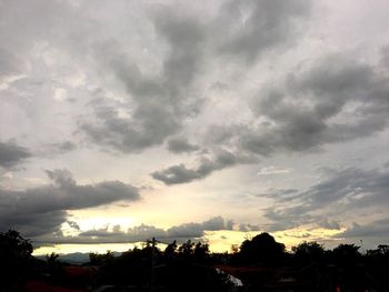 Silhouette of trees against dramatic sky