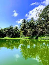 Reflection of trees in lake against sky