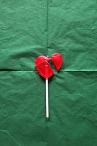 Close-up of red umbrella