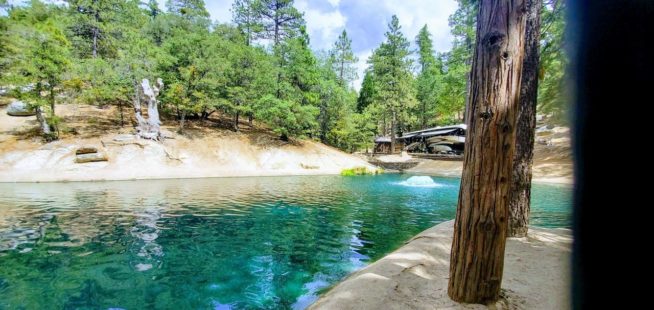 SCENIC VIEW OF RIVER AMIDST TREES AGAINST SKY