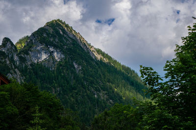 Low angle view of trees and mountains against sky