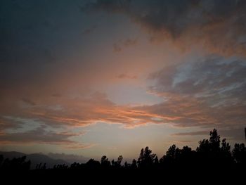 Low angle view of silhouette trees against sky during sunset