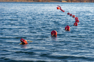 Rear view of woman swimming in sea