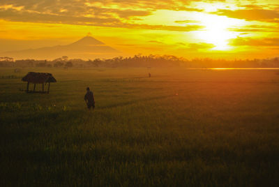 Scenic view of field against sky during sunset