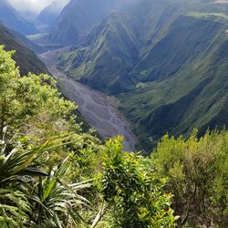 High angle view of trees and mountains