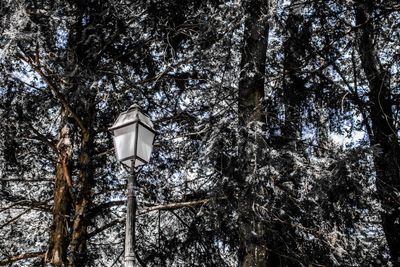 Low angle view of street light against sky