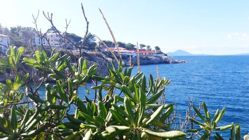 Scenic view of sea against blue sky