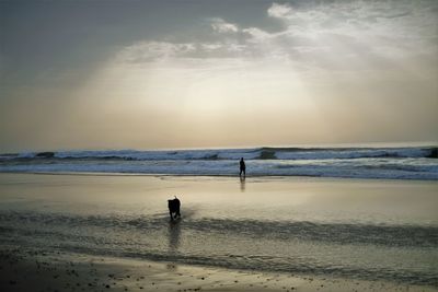 Silhouette man standing on beach against sky during sunset