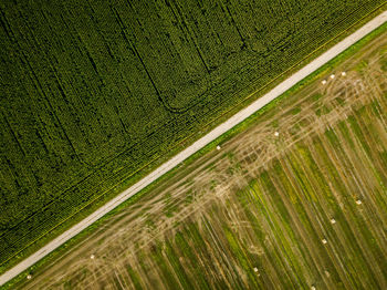 High angle view of agricultural field