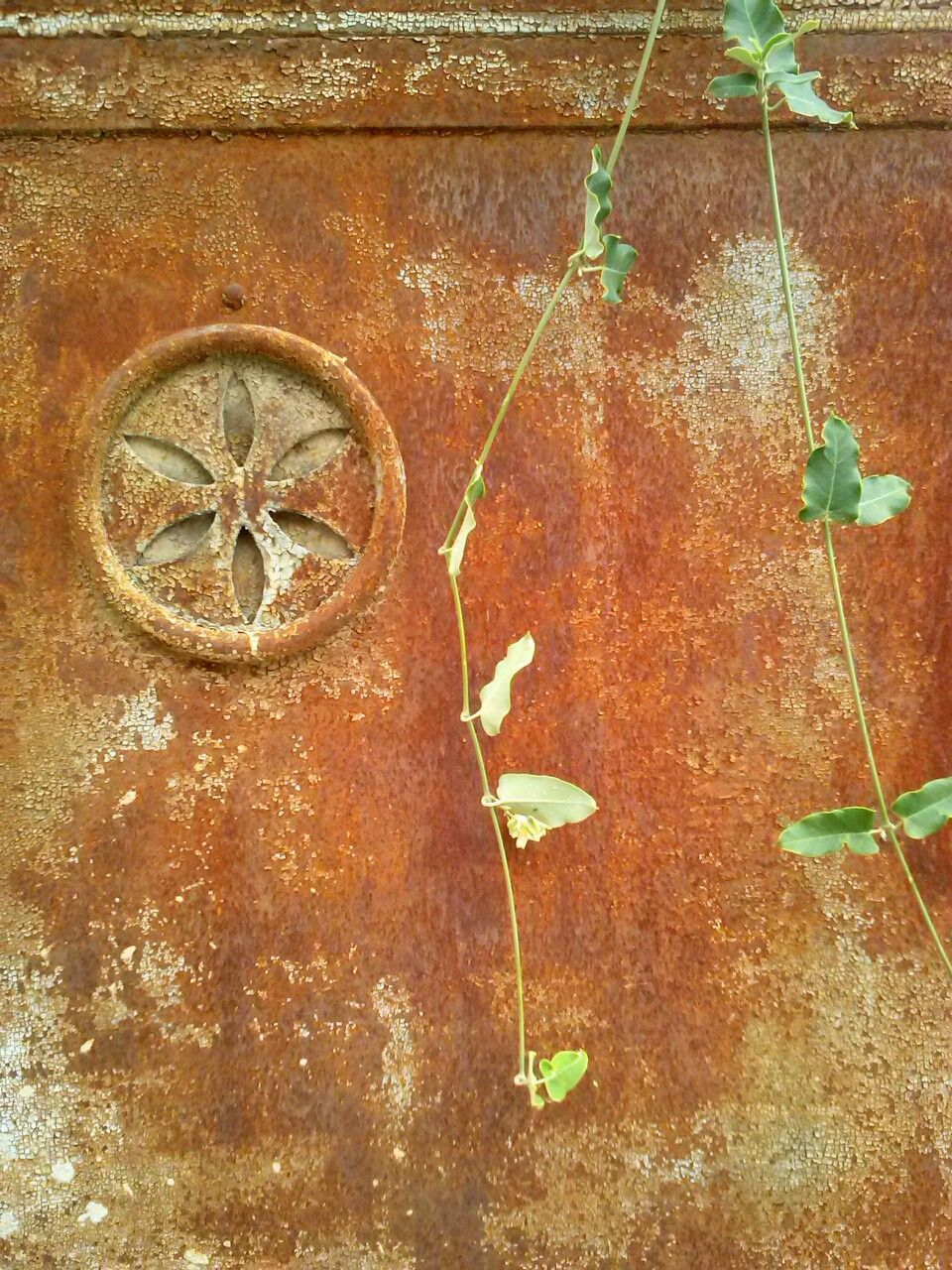 art and craft, art, creativity, wall - building feature, human representation, old, close-up, wall, animal representation, no people, built structure, metal, outdoors, weathered, day, sculpture, carving - craft product, rusty, abandoned