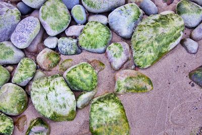 Pebbles on sandy beach