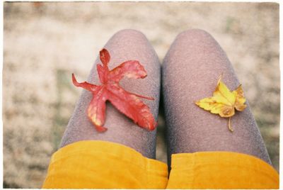 Low section of woman with red leaves