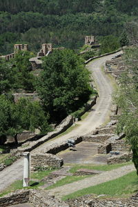 High angle view of road amidst trees and plants