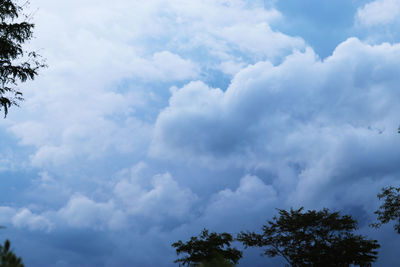 Low angle view of trees against cloudy sky