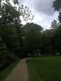 Road amidst trees against sky