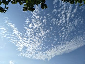 Low angle view of blue sky and clouds