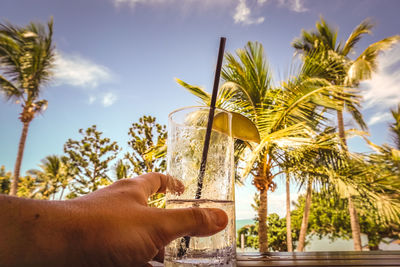 Midsection of person holding coconut palm tree against sky