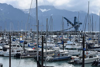 Sailboats moored at harbor