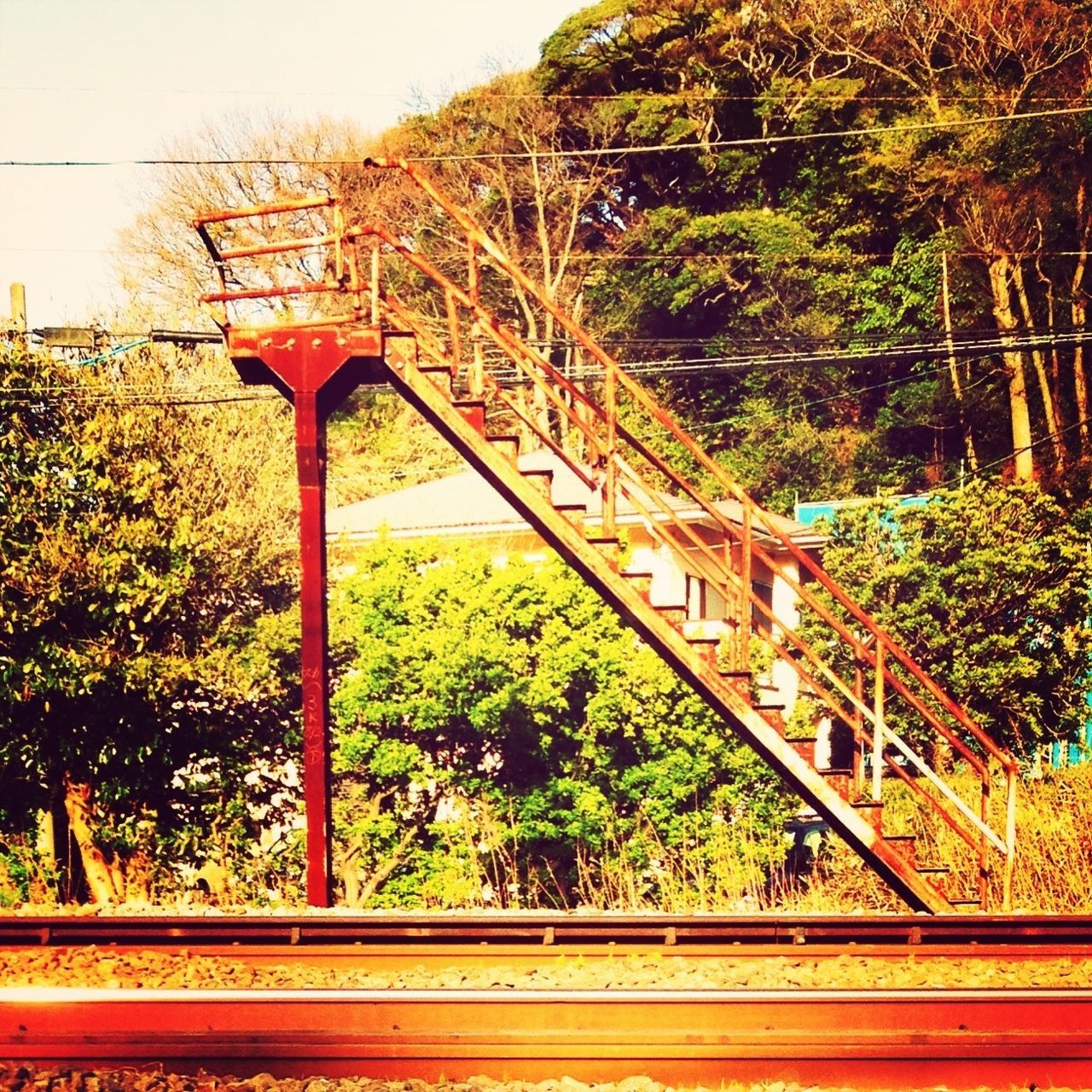 tree, transportation, connection, railing, growth, bridge - man made structure, built structure, metal, architecture, low angle view, street light, outdoors, nature, railroad track, sky, no people, bridge, rail transportation, clear sky, day