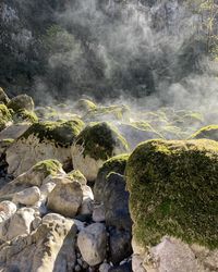 Scenic view of rocks on land