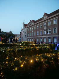 Illuminated christmas tree by building against clear sky