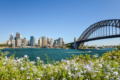 Sydney harbour at circular quay with harbour bridge. seen from dr mary booth lookout, kirribilli