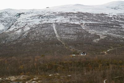 View of bird flying over mountain