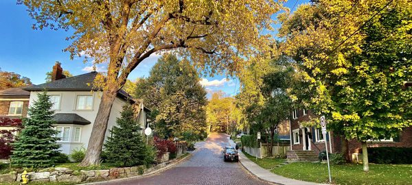 Street amidst trees and houses against sky during autumn