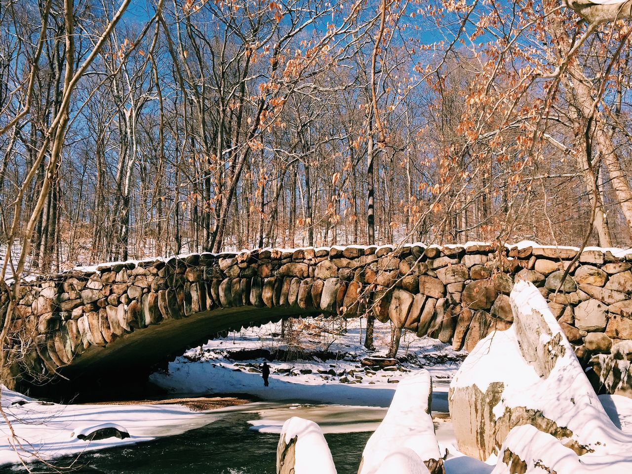 architecture, built structure, arch, tree, water, building exterior, history, day, travel, sunlight, travel destinations, famous place, tourism, bridge - man made structure, old, connection, architectural column, incidental people, outdoors