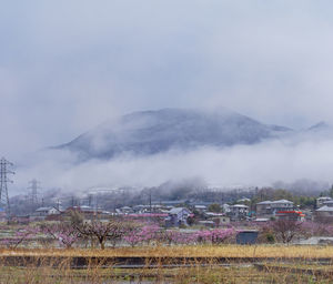 Frosty scenery in the japanese countryside in winter.