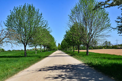 Road amidst trees against sky