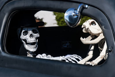 View of skeletons in car