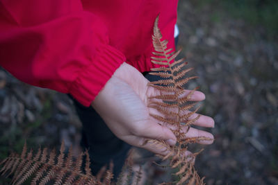 Midsection of person holding plant