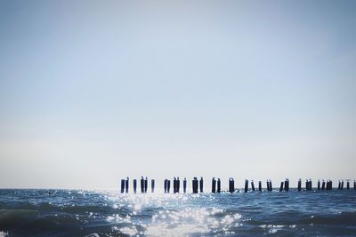 Wooden pylons in the ocean