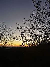 Low angle view of silhouette trees against clear sky