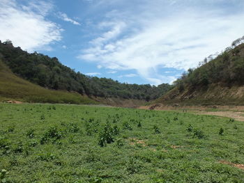 Scenic view of field against sky