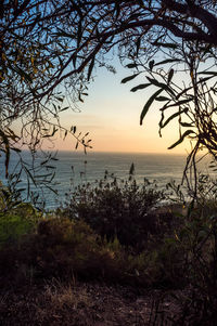 Scenic view of sea against clear sky at sunset