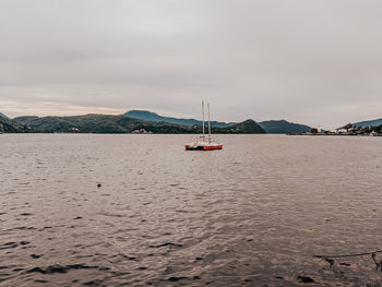 Sailboat sailing on sea against sky