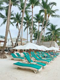 Palm trees by swimming pool against sky