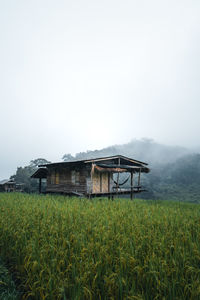 Barn on field against sky