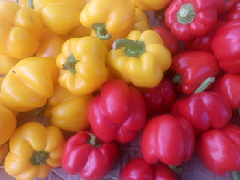 High angle view of red and yellow bell pepper for sale at market