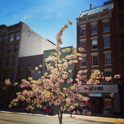 Low angle view of buildings in city