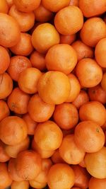 Close-up of oranges