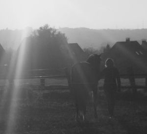 Rear view of people walking on field