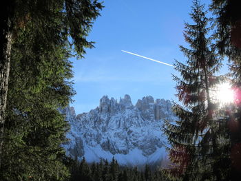 Trees on snow covered mountain against sky