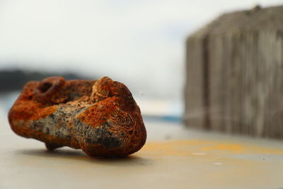 Close-up of rusty on table by sea against sky