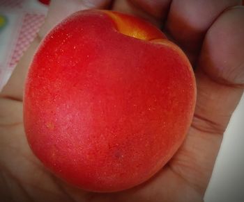 Close-up of hand holding apple