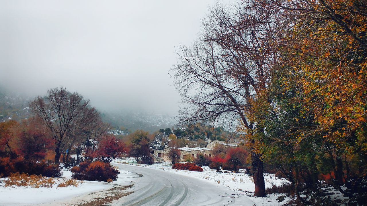 tree, autumn, weather, snow, winter, cold temperature, nature, change, beauty in nature, scenics, tranquility, outdoors, no people, the way forward, tranquil scene, bare tree, road, day, fog, sky, branch