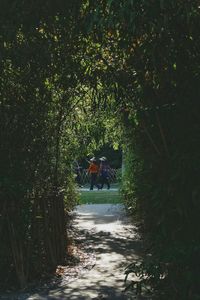 People walking on street