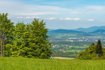 Scenic view of landscape against sky